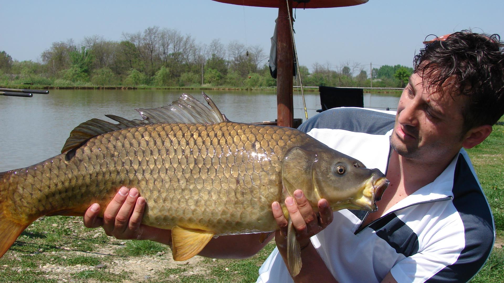 Pe maluri de ape - dsc00114.JPG